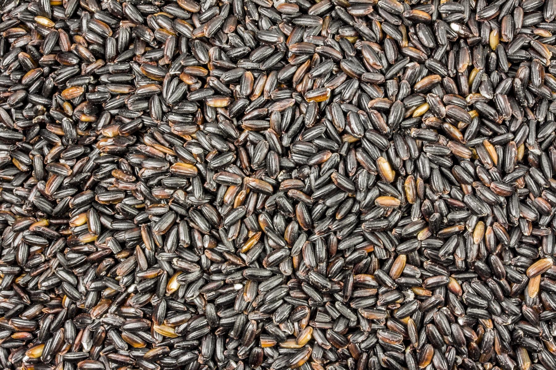 Arroz integral preto Biológico 25kg
