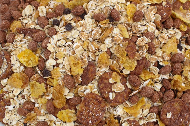 Müsli de Chocolate Biológico 20kg