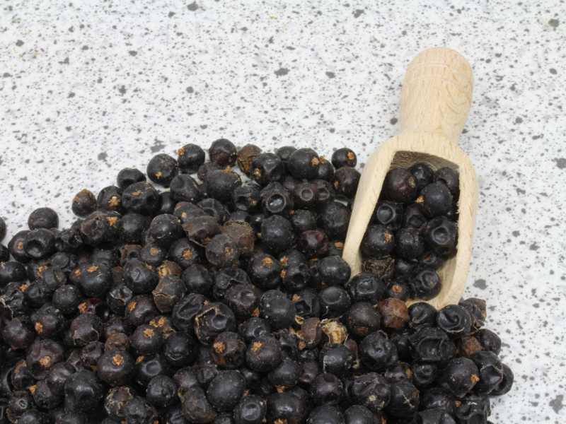 Juniper Berries Bio 19.60kg