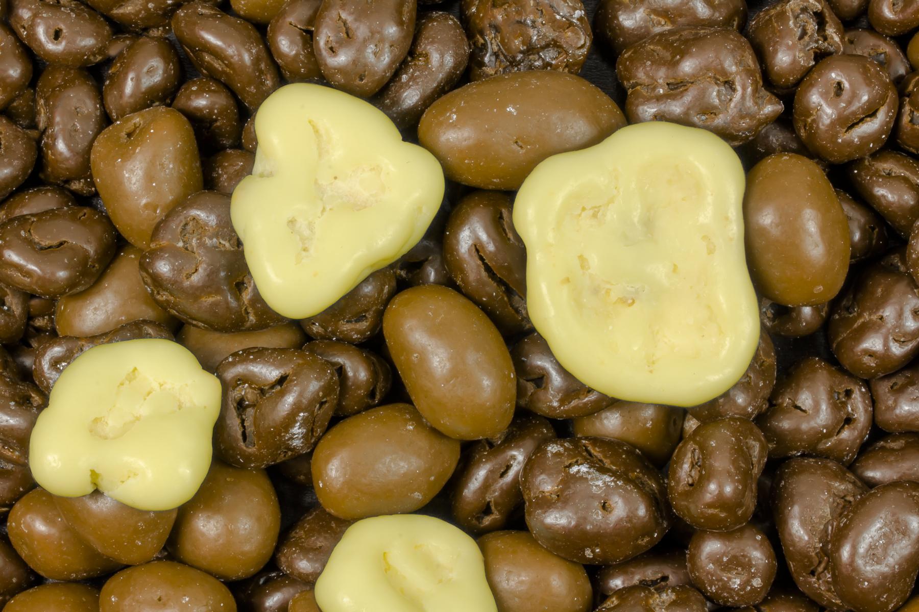 Mistura de frutos secos e frutas cobertas de chocolate Biológico 5kg