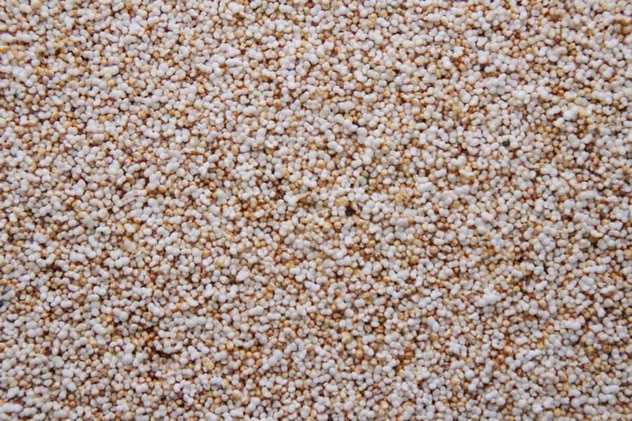 Amaranto inflado biológico 15kg