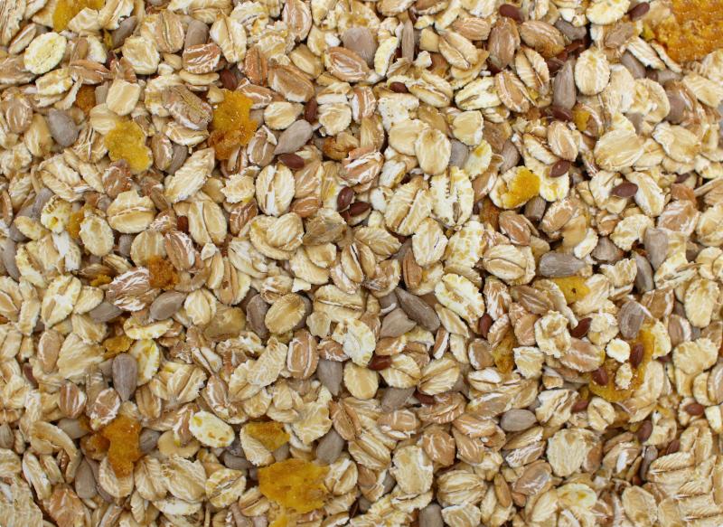 Müsli sem passas de uva biológico 25kg