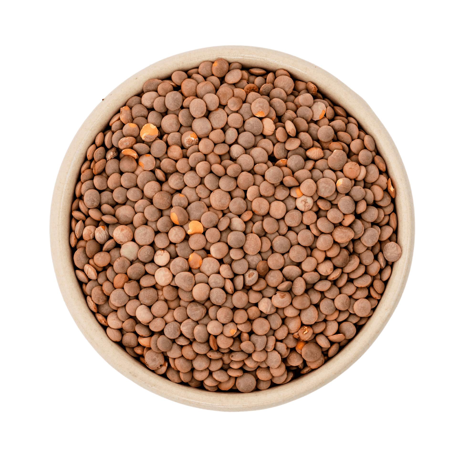 Lentilhas de montanha castanhas Biológico (Gourmet) 25kg