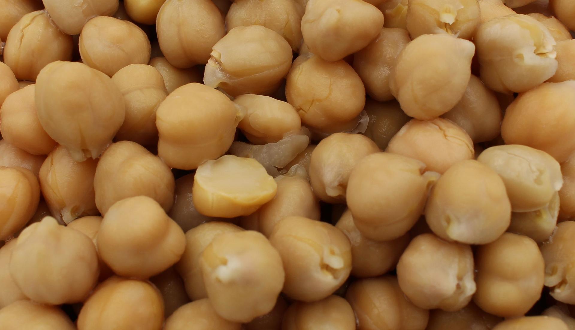 Grão-de-bico biológico Marschland Contentor: 2,6kg, Peso Líquido 1,5kg