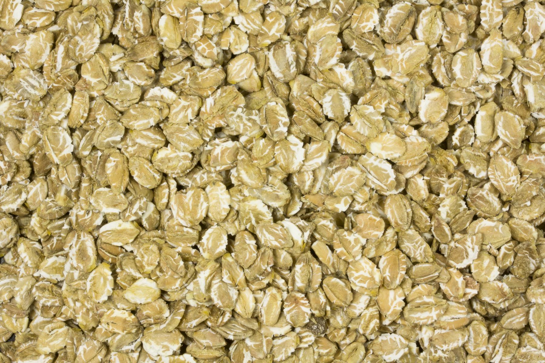 Flocos de centeio Biológico 25kg