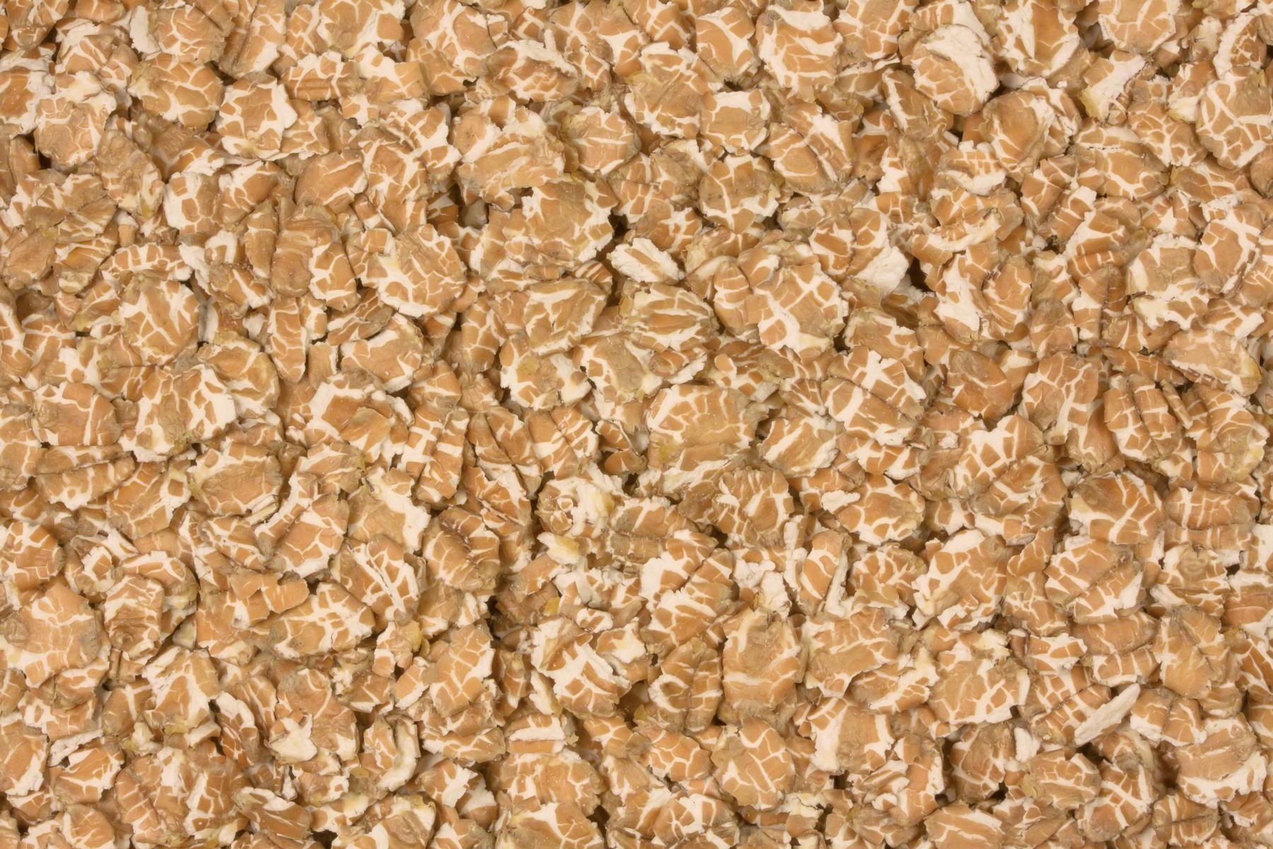 Flocos de trigo Biológico 25kg