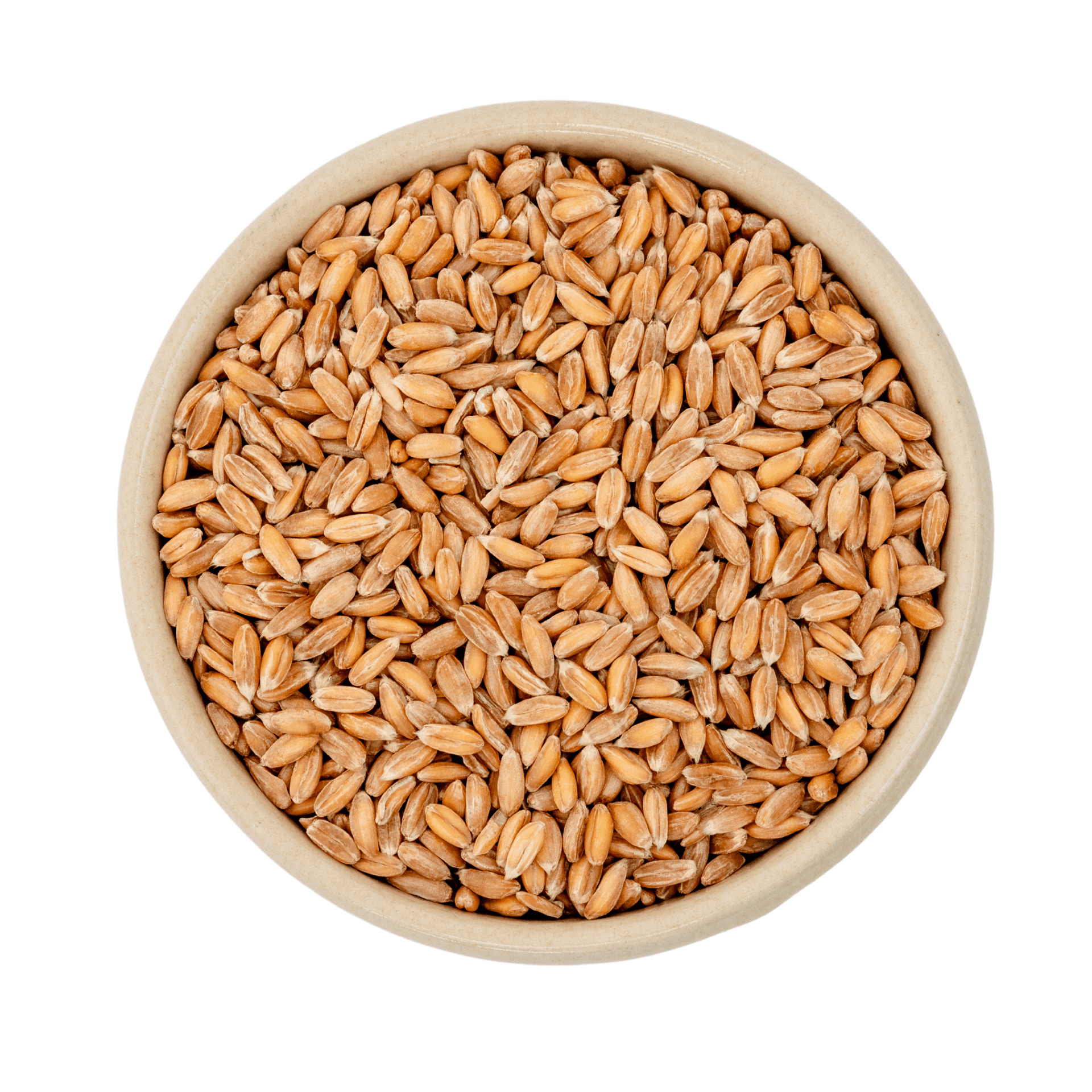 Dinkel Biológico 25kg