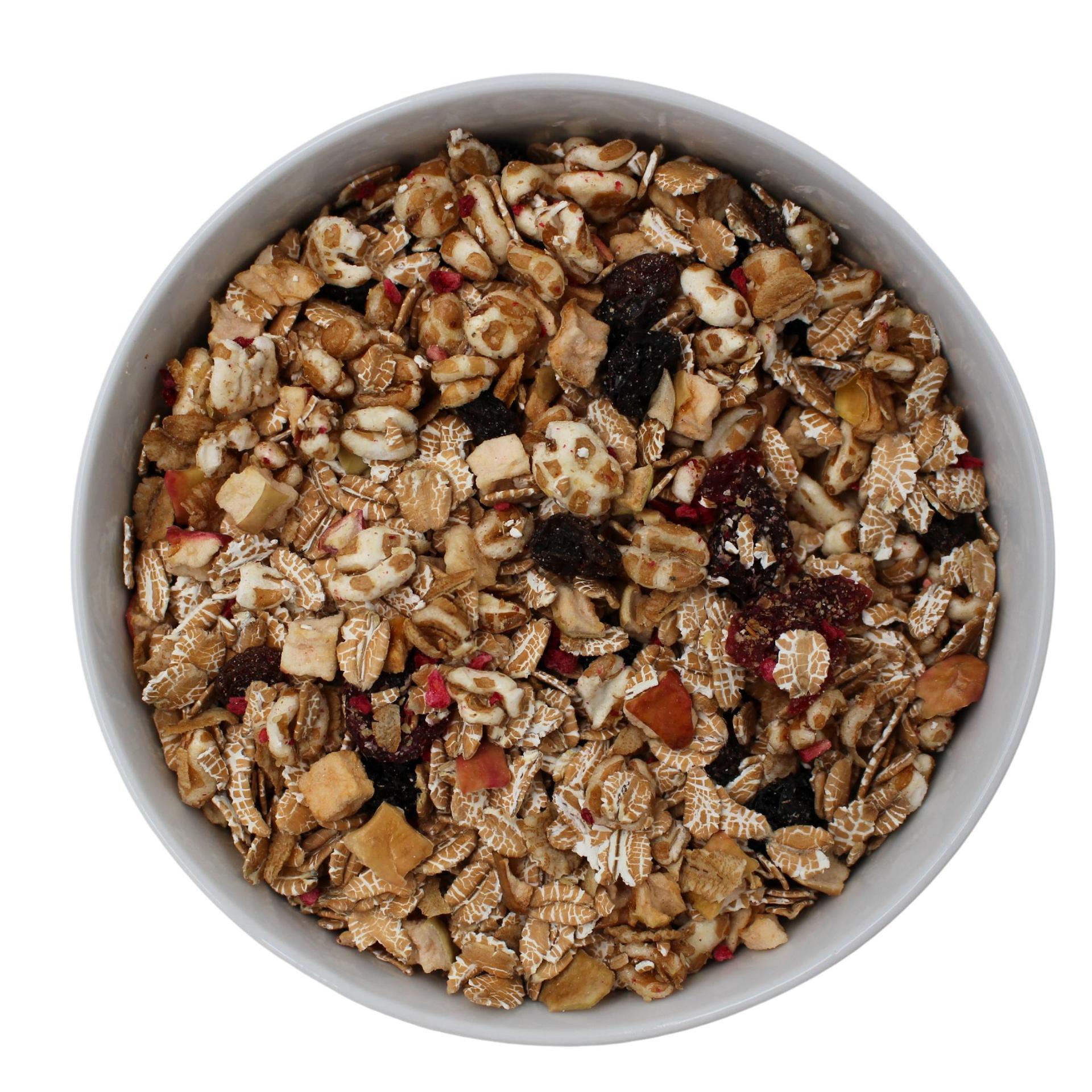 Müsli de trigo sarraceno com frutas Biológico 20kg