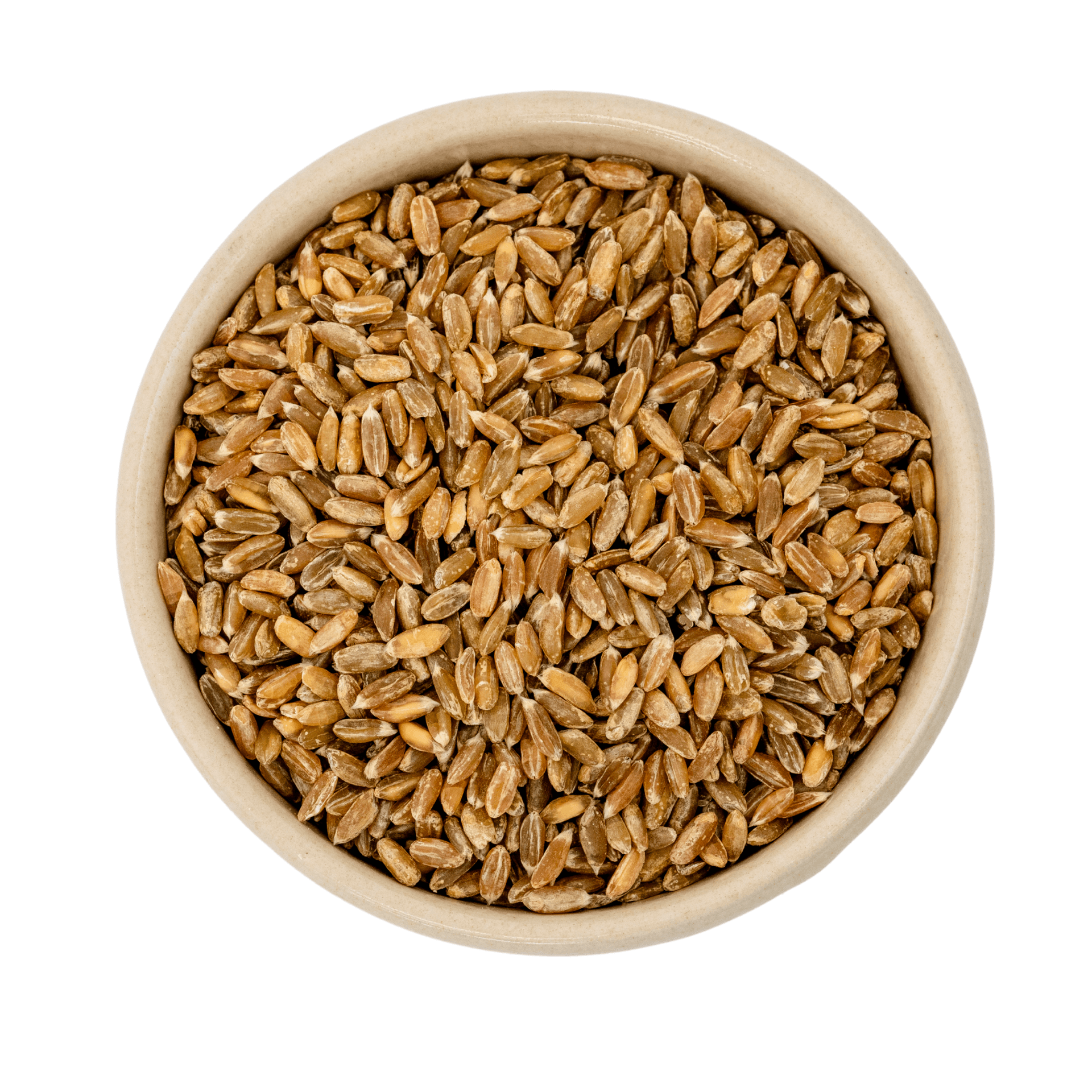 Trigo escuro biológico 5kg