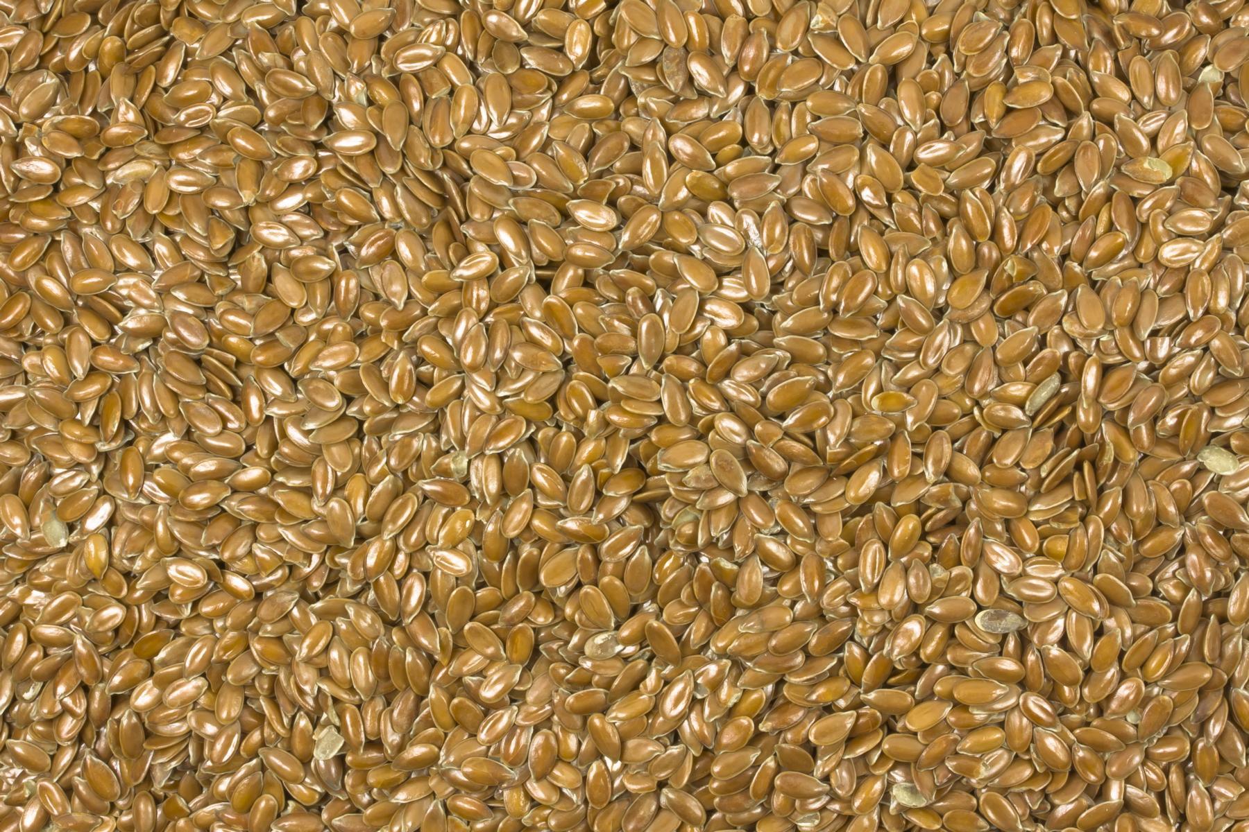 Semente de linhaça marrom bio de qualidade de processador 25kg