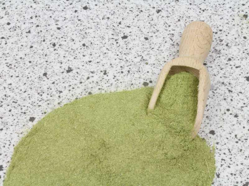 Schabzigerklee moído Biológico 25kg