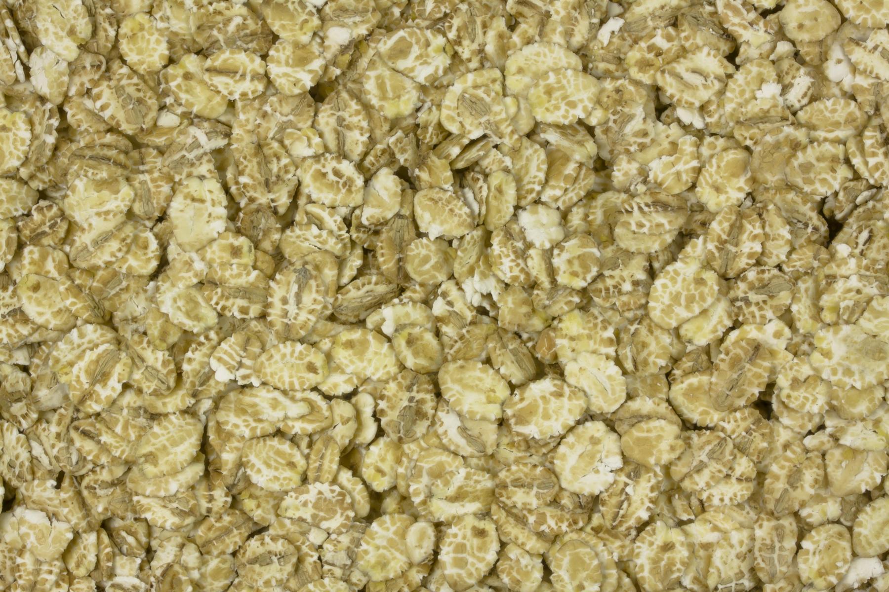 Flocos de cevada Biológico 25kg