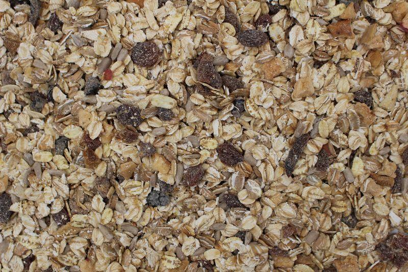 Müsli de Frutas Biológico 25kg