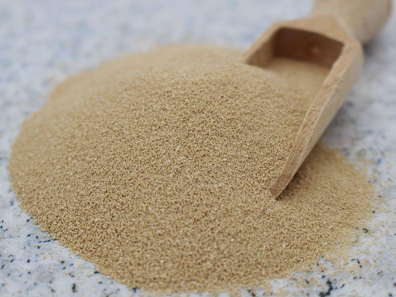 Fermento "Meister Backhefe" seco sem glúten biológico 1x390g BioVegan