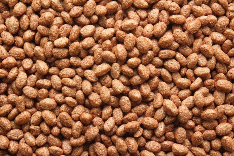 Crisps de chocolate Biológico 10kg