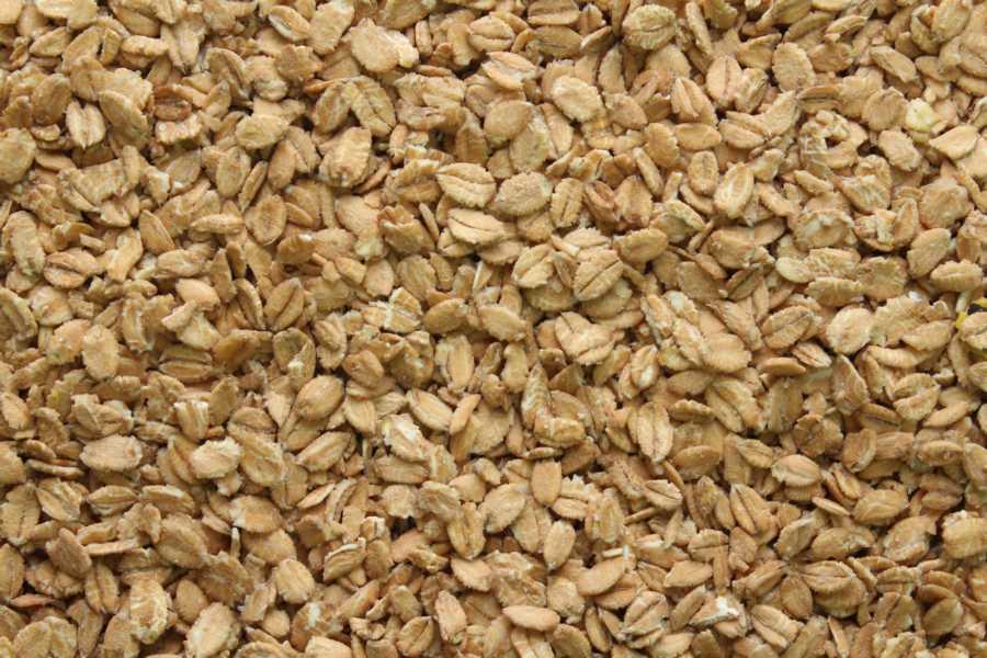 Crunchy de Espelta Bio 25kg